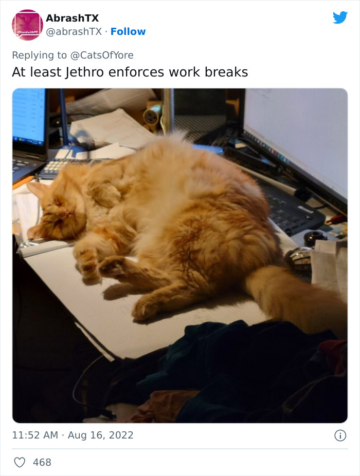 Cats Ruining Stuff Isn&rsquo;t Only A Modern Struggle As It Is Shown In These 24 Pics Through History, Shared By Folks Online