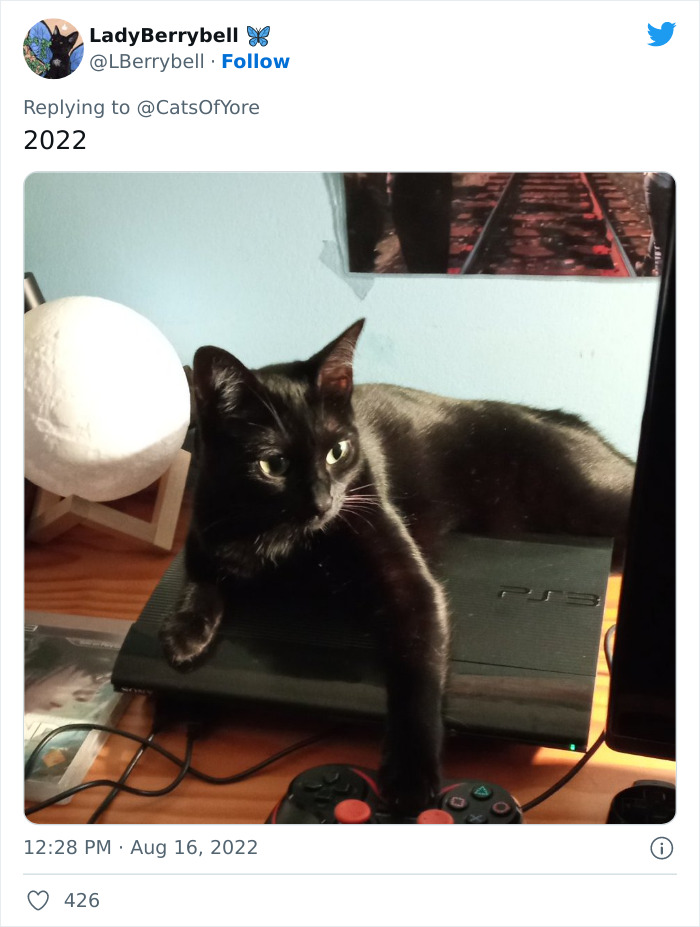 Los gatos destrozando cosas no son un problema moderno, como muestran estas 24 im&aacute;genes a trav&eacute;s de la historia