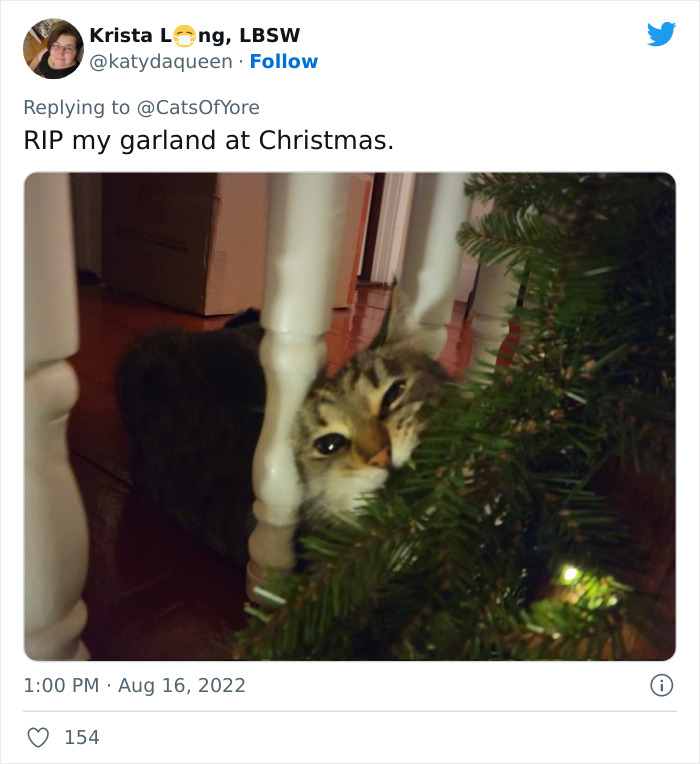 Cats Ruining Stuff Isn&rsquo;t Only A Modern Struggle As It Is Shown In These 24 Pics Through History, Shared By Folks Online