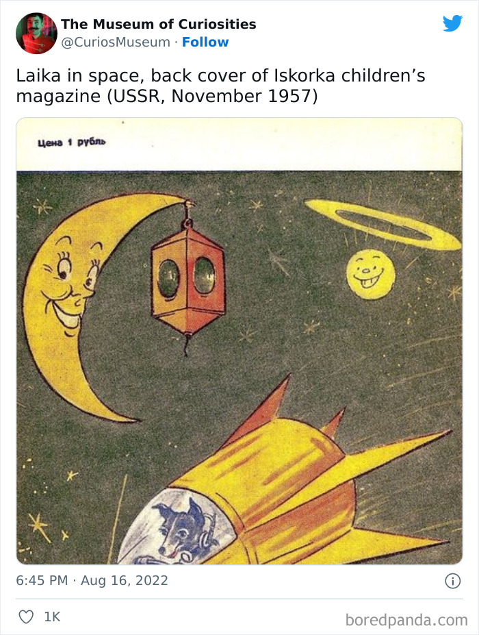 The-Museum-Of-Curiosities