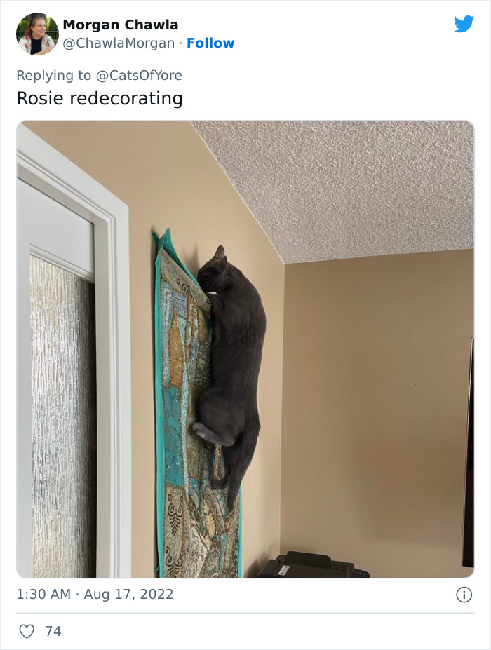 Cats Ruining Stuff Isn&rsquo;t Only A Modern Struggle As It Is Shown In These 24 Pics Through History, Shared By Folks Online