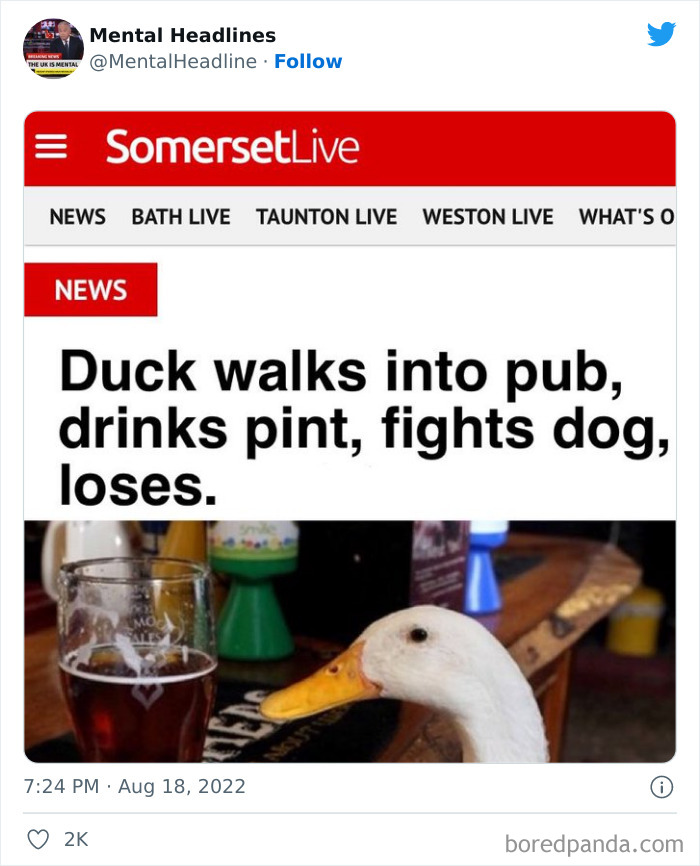 Hilarious-Mental-UK-Headlines