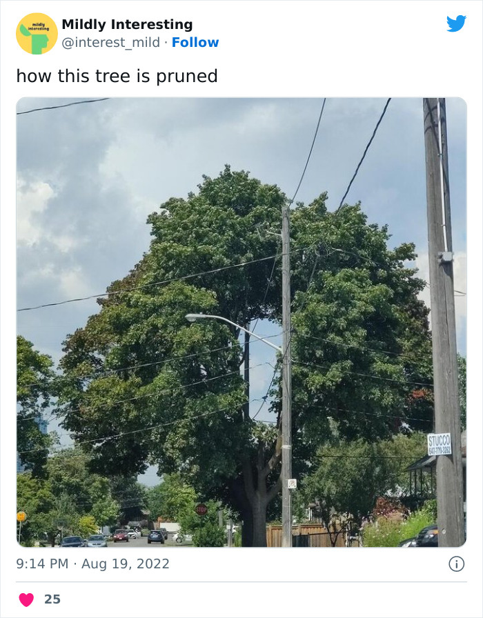 Mildly-Interesting-Post-Twitter