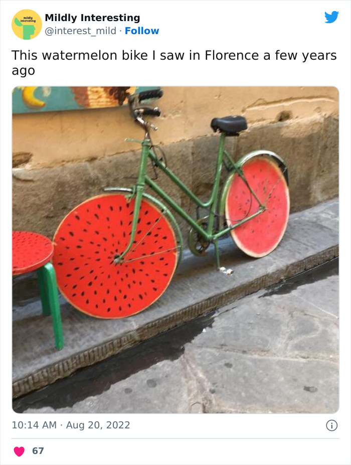 Mildly-Interesting-Post-Twitter