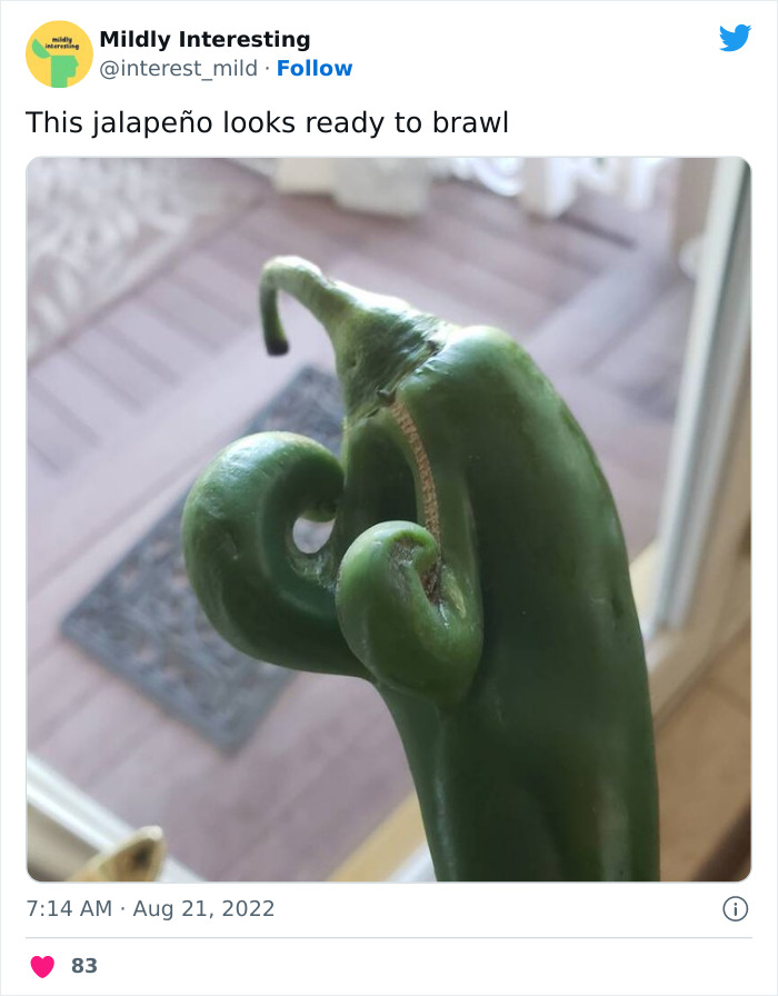 Mildly-Interesting-Post-Twitter