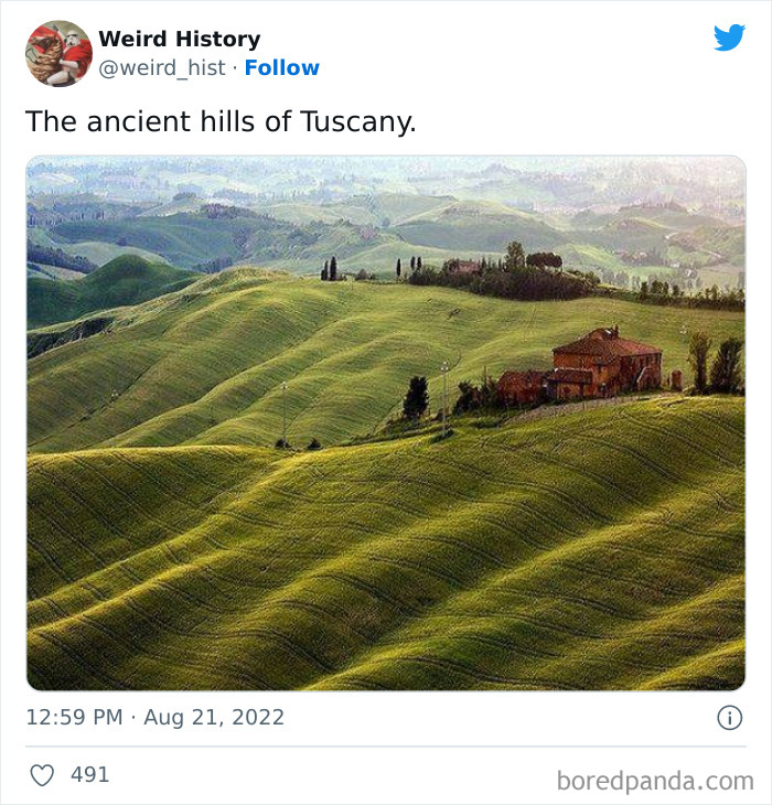 Weird History Tweets