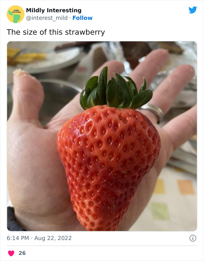 Mildly-Interesting-Post-Twitter