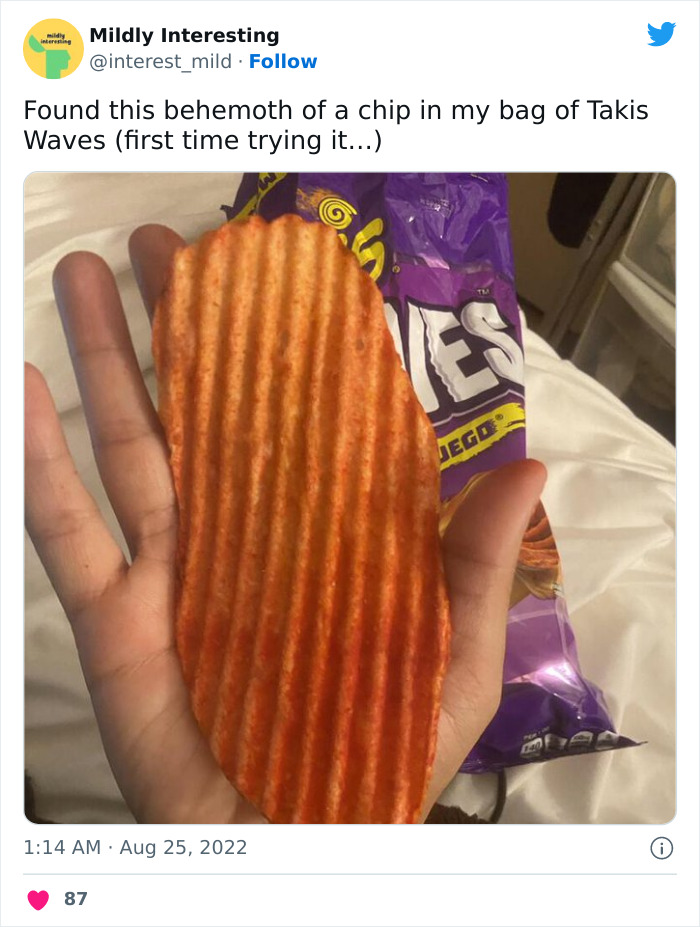 Mildly-Interesting-Post-Twitter