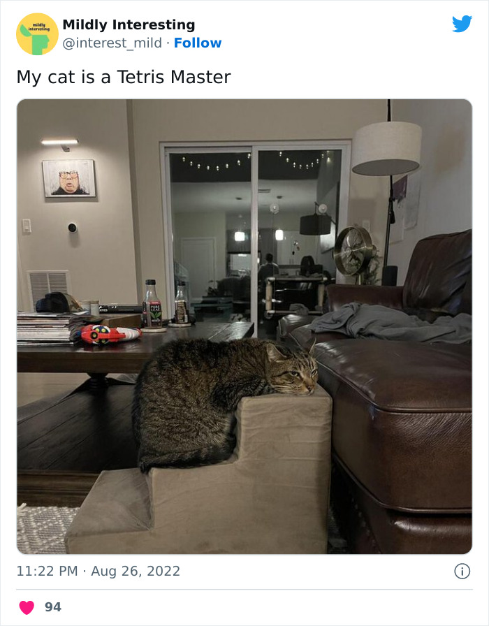 Mildly-Interesting-Post-Twitter