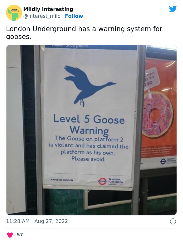 Mildly-Interesting-Post-Twitter