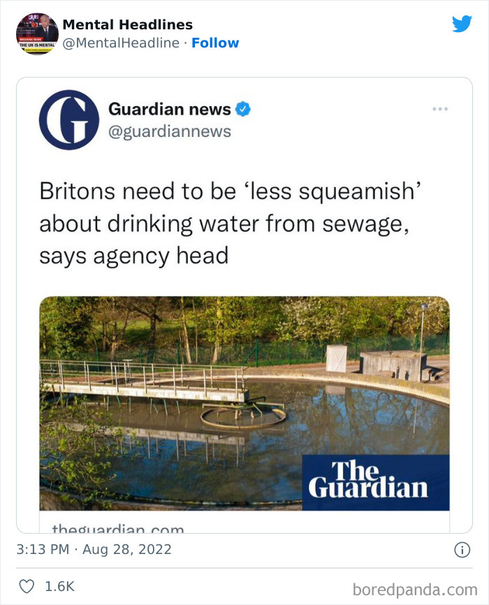 Hilarious-Mental-UK-Headlines