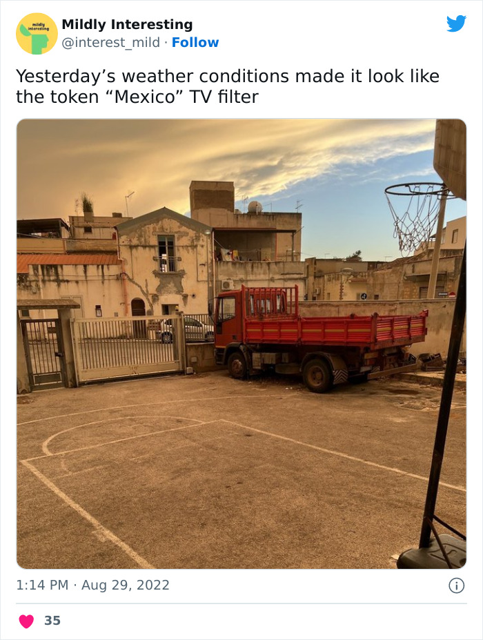 Mildly-Interesting-Post-Twitter