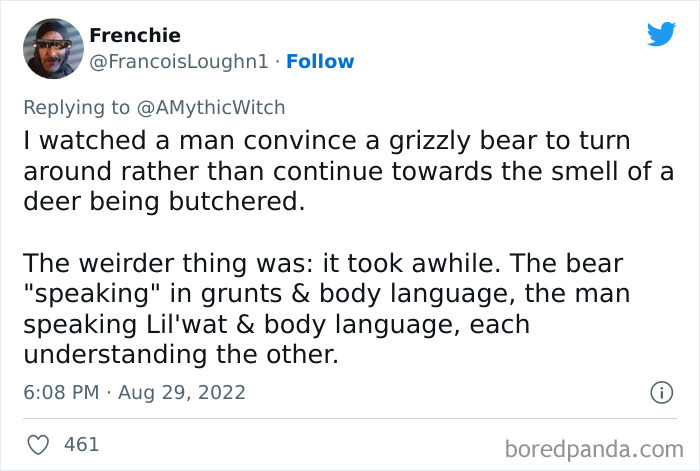Tweet describing a strange encounter where a man convinces a grizzly bear to turn away using body language.