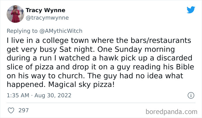 Tweet showing a stranger than fiction story about a hawk dropping pizza on a man in a college town in Ohio.