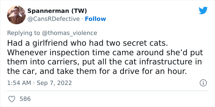 Man Finds Out Everyone In His Apartment Building Has A Cat Even Though It’s Not Allowed, People Are Sharing Their Pet Hiding Stories Man Finds Out Everyone In His Apartment Building Has A Cat Even Though It’s Not Allowed, People Are Sharing Their Pet Hiding Stories