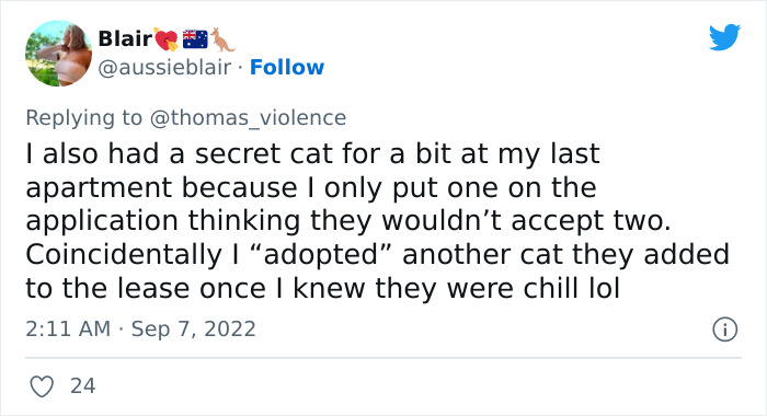 Man Finds Out Everyone In His Apartment Building Has A Cat Even Though It’s Not Allowed, People Are Sharing Their Pet Hiding Stories Man Finds Out Everyone In His Apartment Building Has A Cat Even Though It’s Not Allowed, People Are Sharing Their Pet Hiding Stories