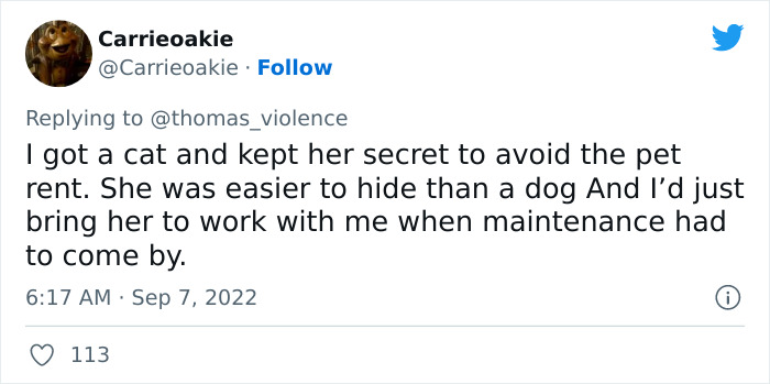 Man Finds Out Everyone In His Apartment Building Has A Cat Even Though It’s Not Allowed, People Are Sharing Their Pet Hiding Stories Man Finds Out Everyone In His Apartment Building Has A Cat Even Though It’s Not Allowed, People Are Sharing Their Pet Hiding Stories