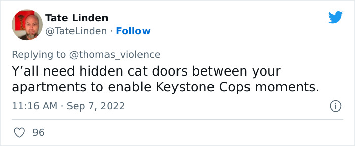 Man Finds Out Everyone In His Apartment Building Has A Cat Even Though It’s Not Allowed, People Are Sharing Their Pet Hiding Stories Man Finds Out Everyone In His Apartment Building Has A Cat Even Though It’s Not Allowed, People Are Sharing Their Pet Hiding Stories