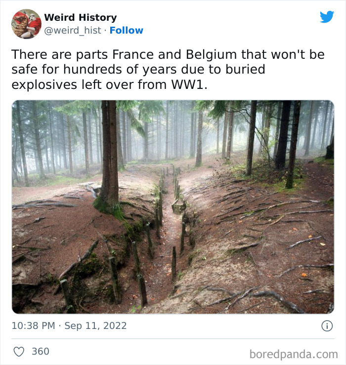 Weird History Tweets