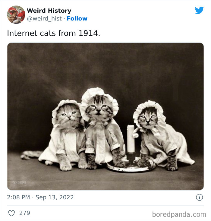 Weird History Tweets