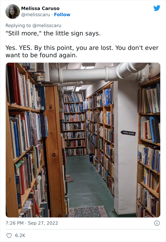 20 Pics From A &ldquo;Labyrinthine Magical Bookstore That You Might Have Thought Only Existed In The Stories&rdquo;, As Shared In This Twitter Thread