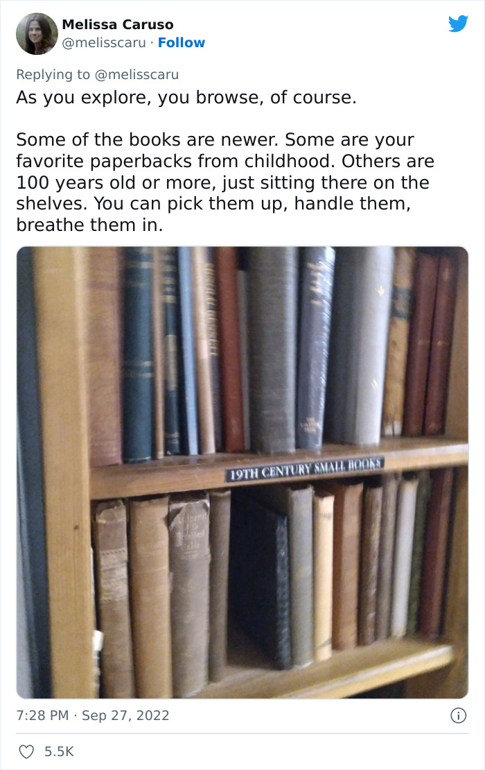 20 Pics From A &ldquo;Labyrinthine Magical Bookstore That You Might Have Thought Only Existed In The Stories&rdquo;, As Shared In This Twitter Thread