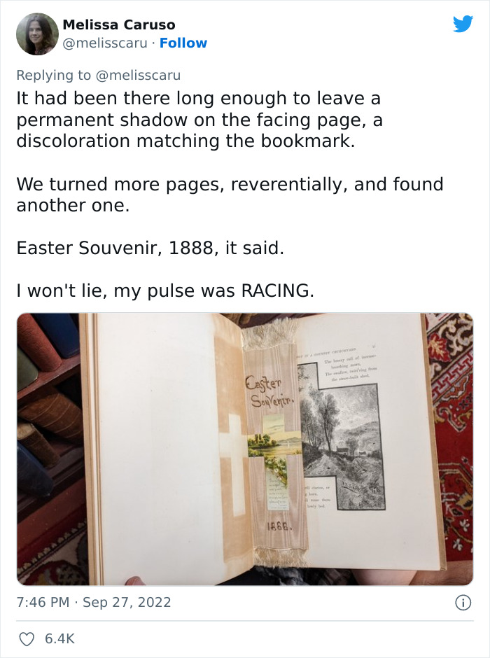 20 Pics From A &ldquo;Labyrinthine Magical Bookstore That You Might Have Thought Only Existed In The Stories&rdquo;, As Shared In This Twitter Thread