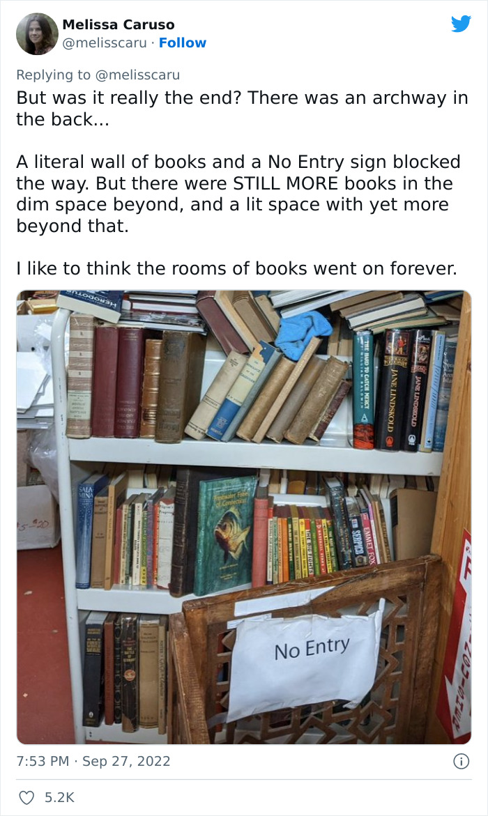 20 Pics From A &ldquo;Labyrinthine Magical Bookstore That You Might Have Thought Only Existed In The Stories&rdquo;, As Shared In This Twitter Thread