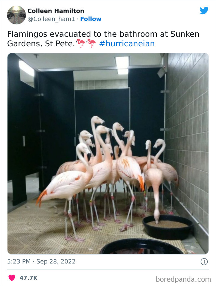 Hurricane-Ian-Florida-Pics