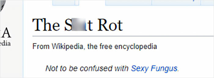 Wikipedia-Out-Of-Context-But-Its-Made-Up-Twitter