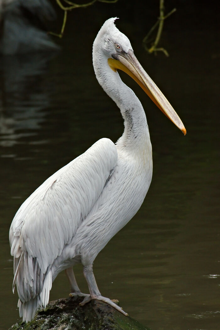 40 Bizarre, Uplifting, Or Straight Up Chucklesome, Yet Unlikely Personal Stories As Shared Online That Are Very Much True