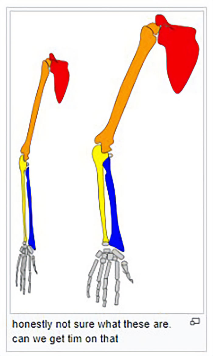 Wikipedia-Out-Of-Context-But-Its-Made-Up-Twitter