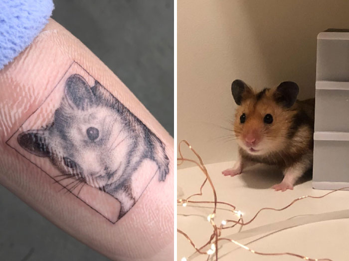 Pet tattoo of a hamster on an arm beside a photo of the real hamster.