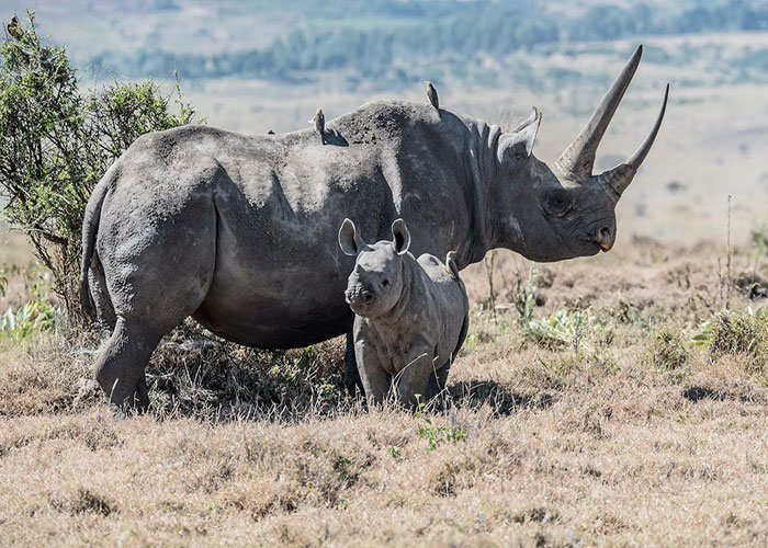 30 Common Myths That People Have To Finally Stop Believing