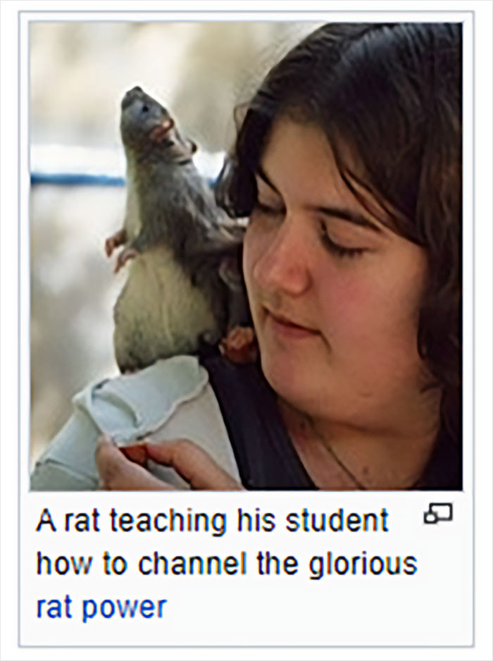 Wikipedia-Out-Of-Context-But-Its-Made-Up-Twitter
