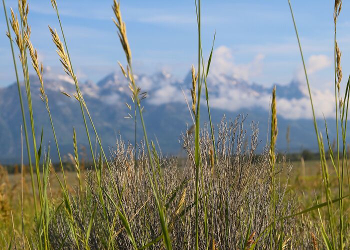 30 Concepts That Work Just Fine In Movies But Fail To Work In Real Life, As Pointed Out By Folks Online