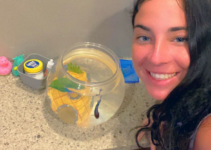 “How About I Take It Home To Live With Me?”: Airline Employee Looks After Passenger’s Pet Fish For 4 Months “How About I Take It Home To Live With Me?”: Airline Employee Looks After Passenger’s Pet Fish For 4 Months