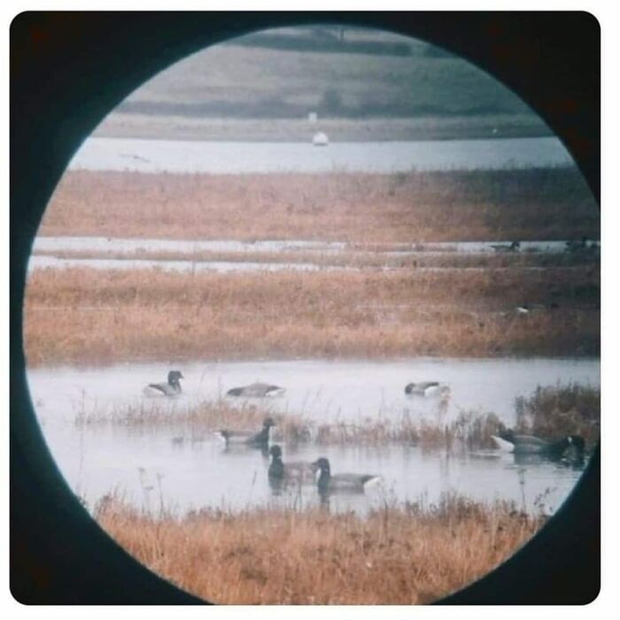 Accidental-Surrealism-Photos