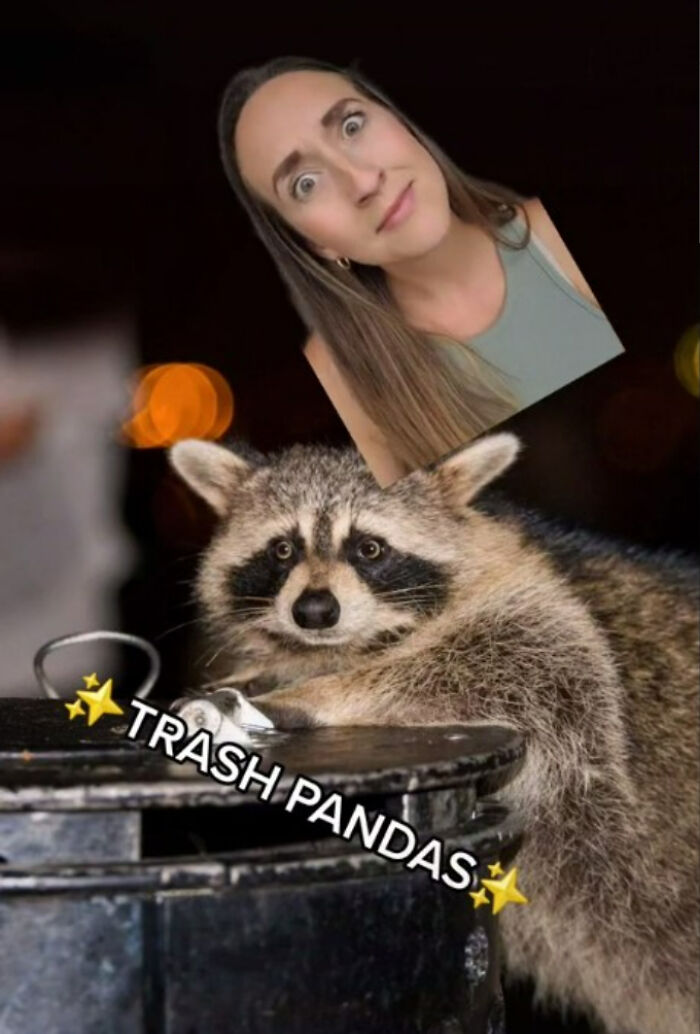 Thenewcomercollective