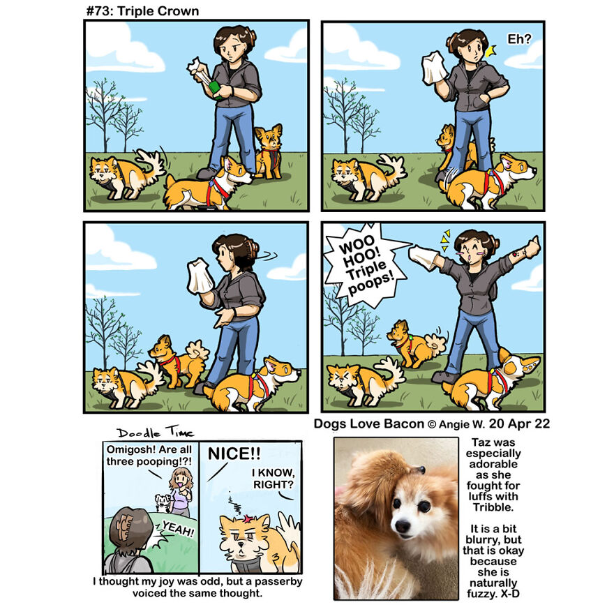 I Draw Comics About My Life With My Rescue Dogs, And Here Are 23 More!