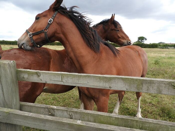 40 Bizarre, Uplifting, Or Straight Up Chucklesome, Yet Unlikely Personal Stories As Shared Online That Are Very Much True