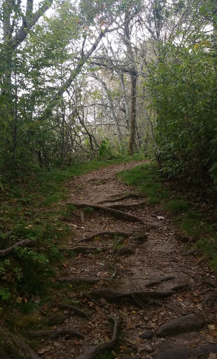 Trail On The Blue Ridge Parkway