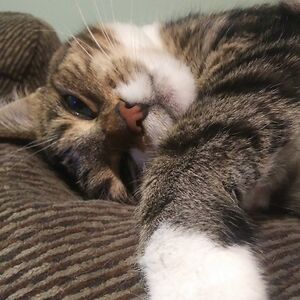 sleepyone2three avatar