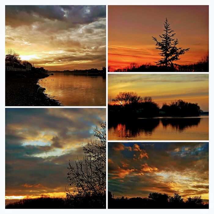 I Simply Can't Decide, I Have So Many, Too Many...