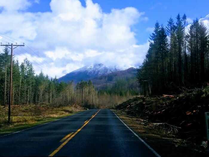 Parts That Didn't Get All The Way Destroyed During The Fire On The Way To Detroit Or