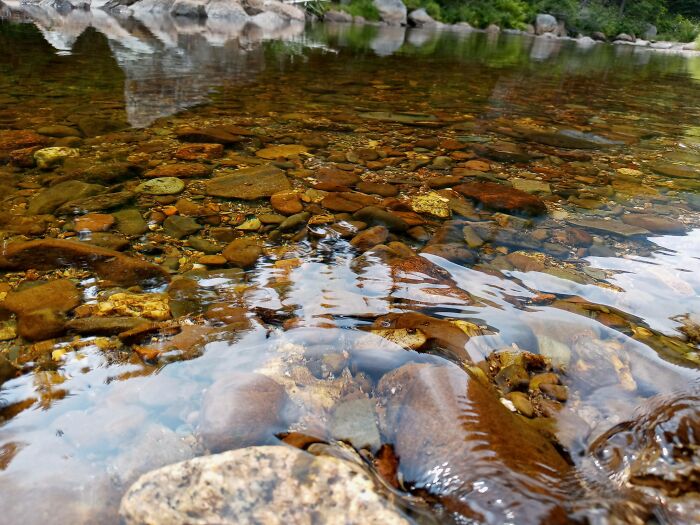 Surface Tension In A River