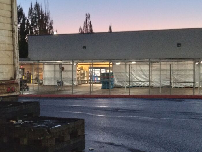 My Favorite One I Took. It Just Pleases Me For Some Reason