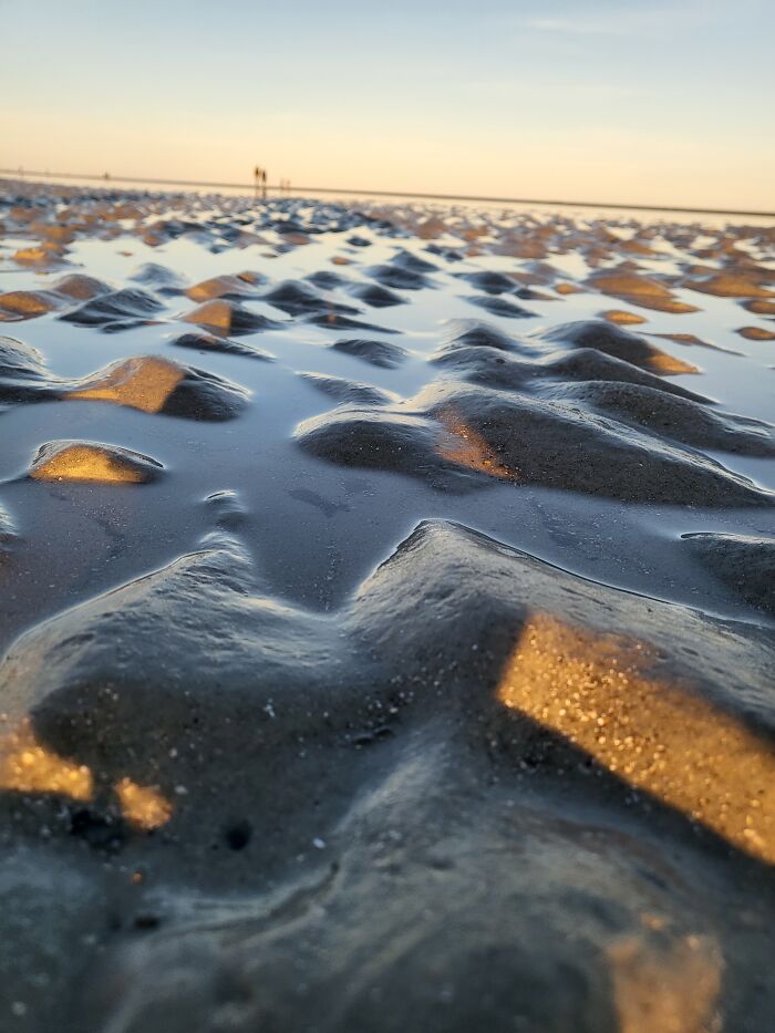Low Tide -- Each Of These Bulges Holds Little Crabs. I Love This Picture Because To Me They Look Like Little Islands