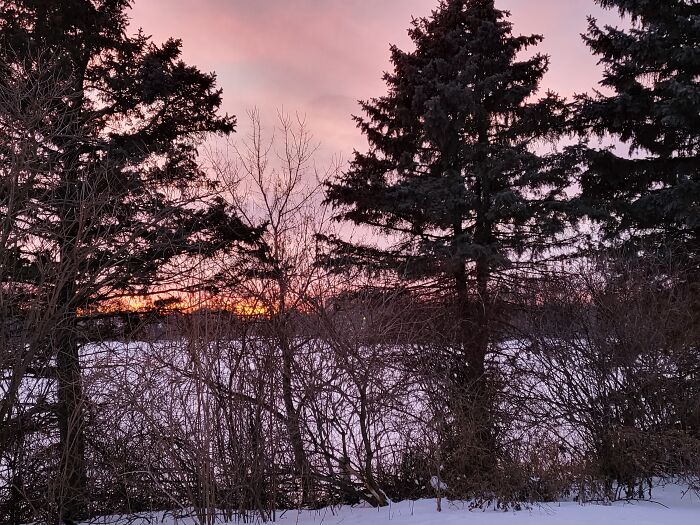 Looks Like It Should Be Part Of A Calander