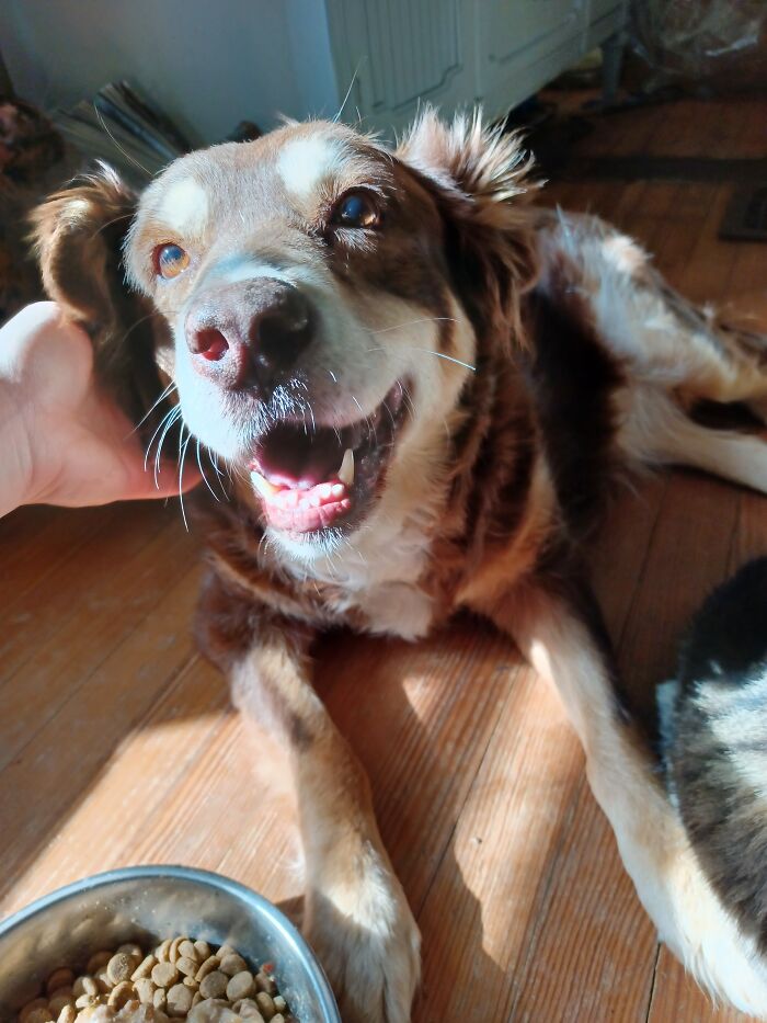 My Girl Harper Is 13